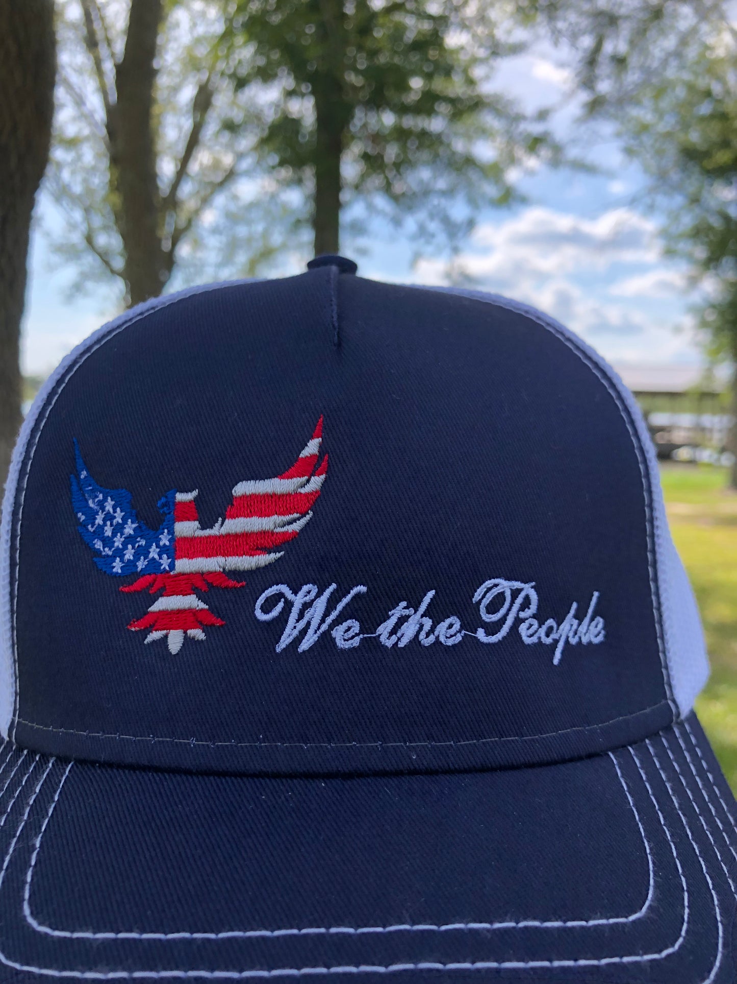 We the People (Navy)